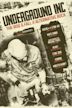 Underground Inc: The Rise & Fall of Alternative Rock