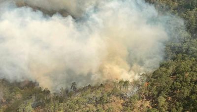 Combaten nuevo incendio forestal en SLP, ahora en Santa María del Río