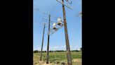 New iron utility poles to be installed in West Michigan