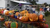 Michigan state park fall harvest festivals: Camping dates in 2023