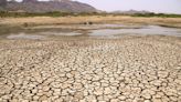 Climate change is causing increase in farmer suicides in India