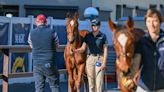 Buyers to Chase Blue-Chip Weanlings at Magic Millions
