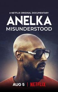 Anelka: Misunderstood