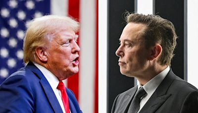 Trump could appoint Elon Musk to head committee axing ‘wasteful’ government programs