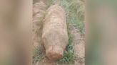 Undetonated World War II bomb found in Bengal’s Jhargram, later defused