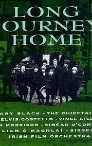 The Irish in America: Long Journey Home