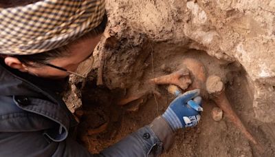 Las exhumaciones continúan en mitad del revuelo por la “ley de concordia”: la ARMH encuentra restos que podrían ser del pastor asesinado en Valladolid