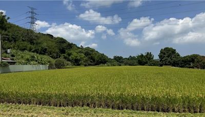 苗縣南庄推動有機無毒栽植 成部分國中小主要食材供應方 - 寶島