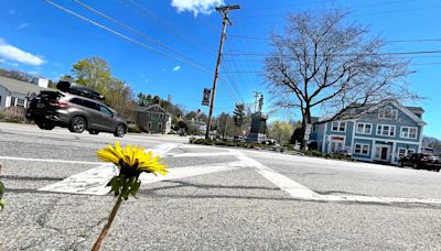 York Village makeover delayed again: Here’s why board is fed up