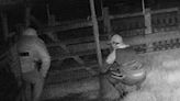 Goat rustlers who stole pets caught on CCTV
