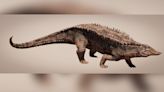 215 million-year-old crocodile ancestor that pre-dates dinosaurs identified