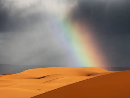 Incredible scenes in Sahara Desert as rain pours down in 'world's driest place'