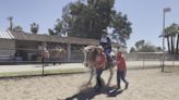 Horses need your help during renovations of Scottsdale facility