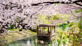 The Best Time to Visit Japan—and How Many Days to Stay