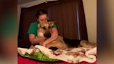 How a dog’s natural instincts save a woman with epilepsy