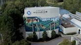 Owners of Dollywood and Ripley’s express interest in taking over operations of Virginia Aquarium