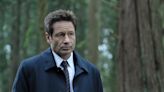 El triste momento de David Duchovny: “Lloré un poco lamentando la pérdida de su silenciosa y expresiva alma”