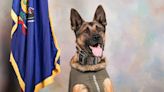 Pennsylvania State Police K9s receive donated body armor