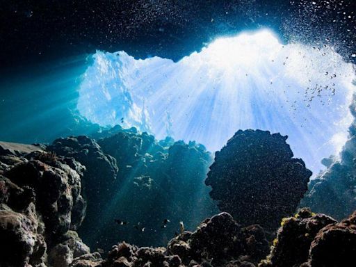 “Oxígeno oscuro”: qué es y por qué sorprende que haya sido descubierto en el fondo del océano