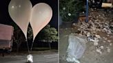 O que revelou a análise dos balões enviados com fezes para a Coreia do Sul?