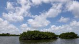 A resort on Rattlesnake Key? Saving the Manatee County island may be an uphill battle