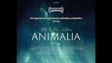 Película: "Animalia"
