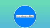 Is this blue or green to you? Viral test created by a neuroscientist reveals your color perception