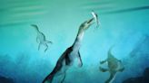 Découverte du plus vieux fossile de reptile marin de l'hémisphère sud en Nouvelle-Zélande