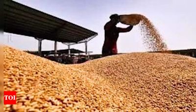 Iraq has procured 1.5 million tons of wheat this year - Times of India