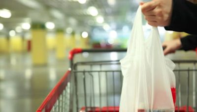 Estas bolsas de plástico no tienen sanción con la nueva ley de ambiente