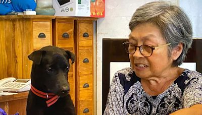 狗狗的愛讓創作靈感源源不絕 80歲陶犬阿嬤認養黑狗「樂樂」