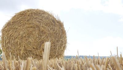 Straw market is like booking a hotel near Croke Park for an All-Ireland final