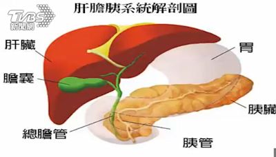 人體「這器官」長期發炎 小心「胰臟癌」高危險族群！