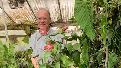 Meet the 'orchid whisperer' for Bay Area elites