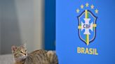 Los mejores memes de la derrota de Brasil ante Croacia por los penales en cuartos del Mundial 2022
