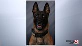 Police dog hurt during chase of drunken driving suspect