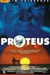 Proteus