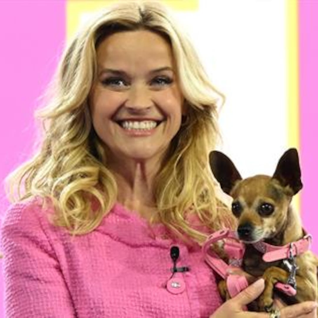 Reese Witherspoon Reveals Elle Woods is Returning in ‘Legally Blonde’ Prequel - E! Online