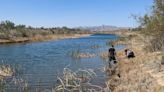 Dog-killing parasite found in portion of Colorado River, scientists warn