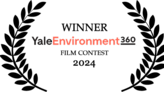 Entries Invited for the Eleventh Annual Yale Environment 360 Film Contest