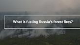 Russia battles forest fires amid another hot summer