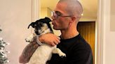 Heartbroken Max George announces shock death of dog