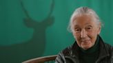 Jane Goodall: “Vendrán más enfermedades en humanos si no respetamos a los animales y sus hábitats”