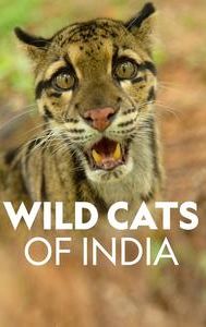 Wild Cats of India