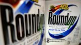 Missouri man gets $1.25M in ruling over Bayer-Monsanto’s ‘Roundup’