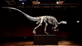 Rare dinosaur skeleton, known as ‘Barry,’ goes on sale in Paris auction