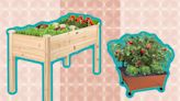 The 9 Best Raised Garden Beds of 2023