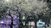 Córdoba espera una impresionante caída de nieve este jueves: en cuáles ciudades rige el alerta - Diario Río Negro