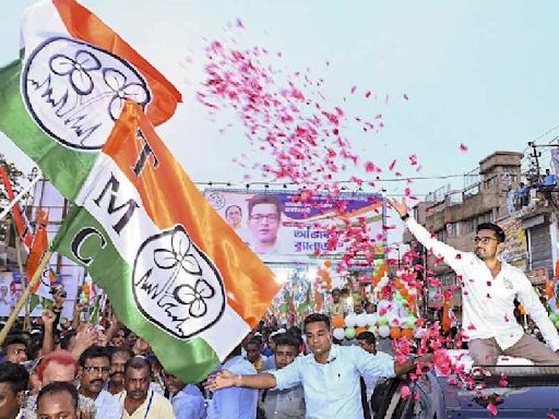TMC leader Abhishek Banerjee faces crucial test in Diamond Harbour Lok Sabha constituency