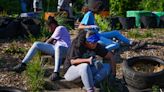 Westside urban garden blooms after donations replace mulch stockpile hauled away by city